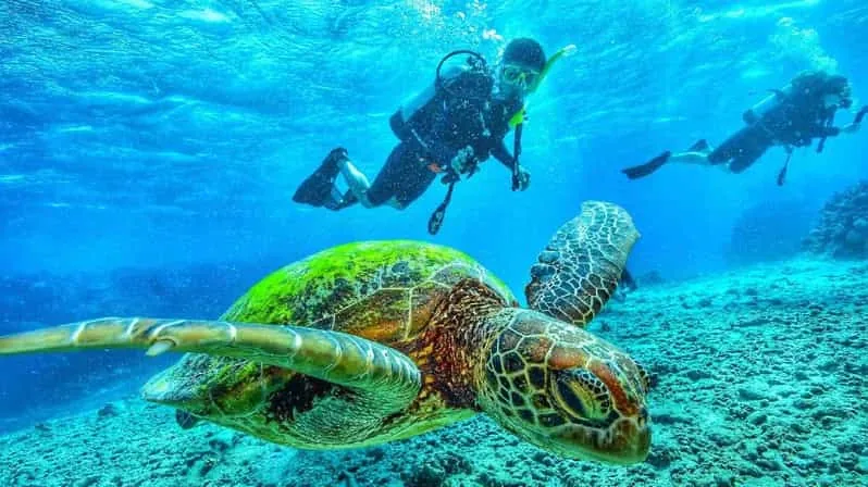 PADI Advanced Open Water Diver course at The Wave Diving Center — photo 2