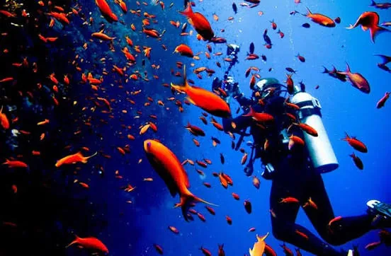 PADI Advanced Open Water Diver course at The Wave Diving Center — photo 5