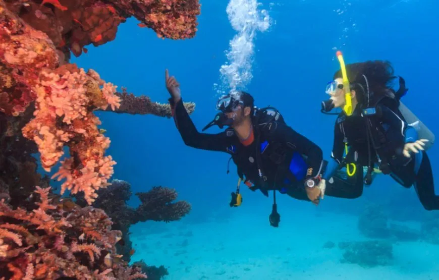 PADI Advanced Open Water Diver course at The Wave Diving Center — photo 9