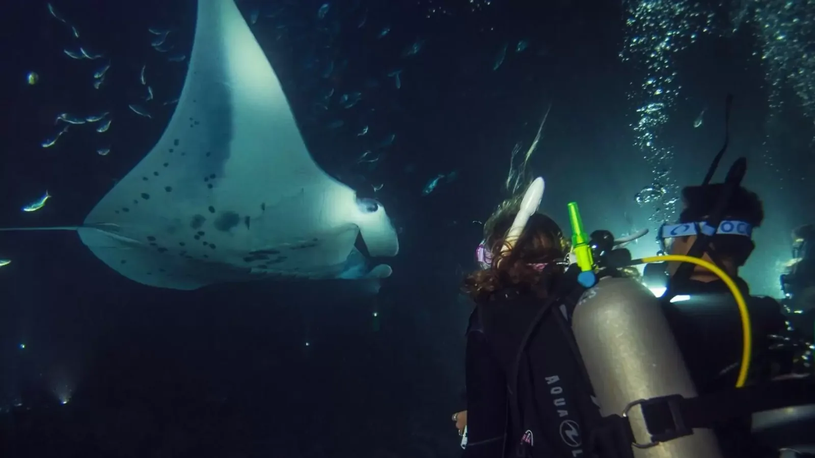 PADI Advanced Open Water Diver course at The Wave Diving Center — photo 10