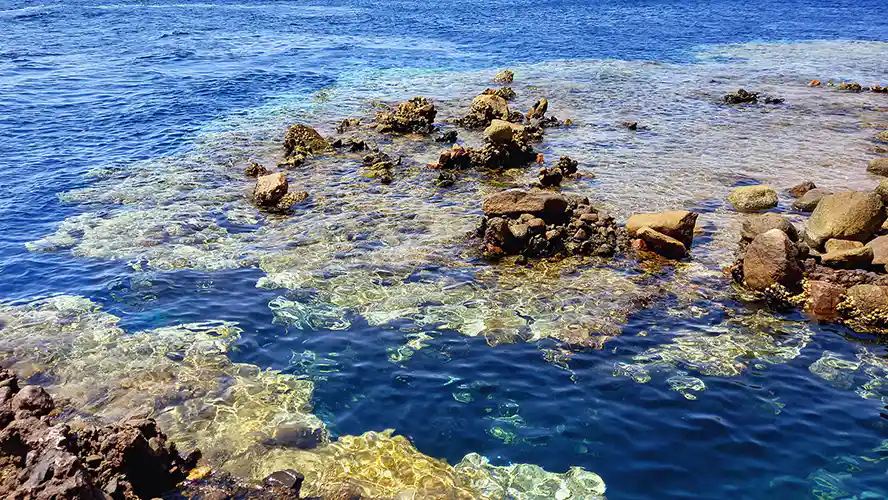 Dahab Blue Hole & Canyon diving trip — photo 4