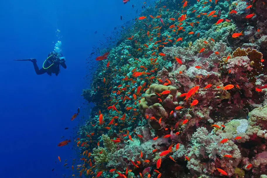 Deep Diver course at The Wave Diving Center — photo 2