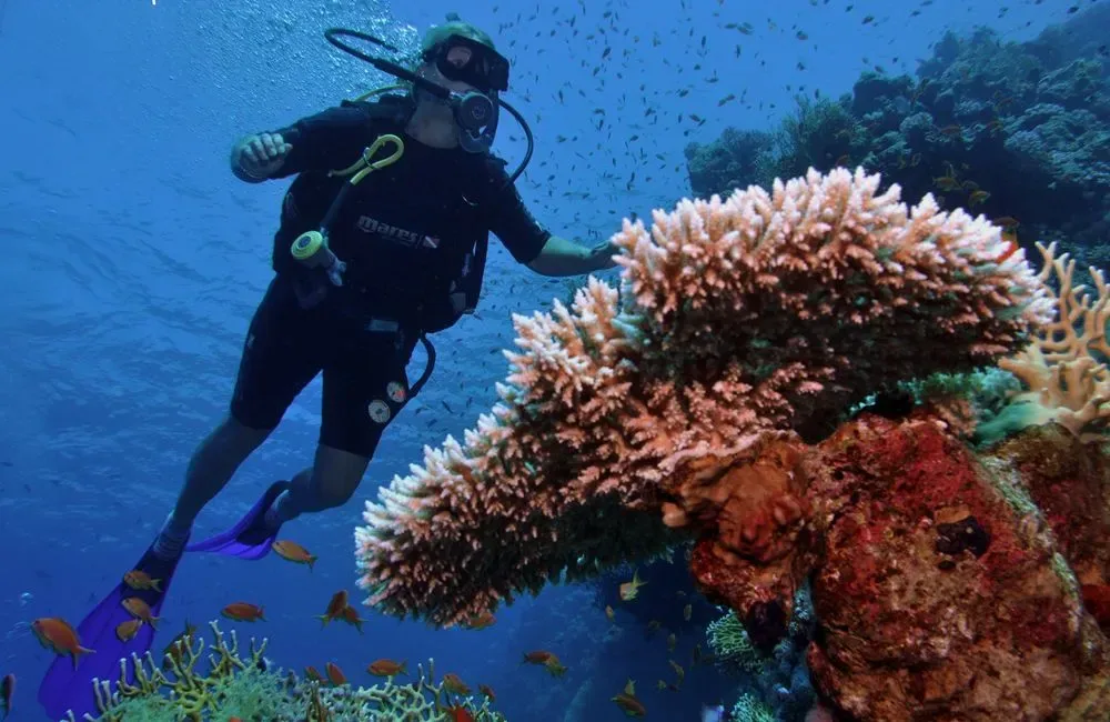 Ras Mohammed diving trip — photo 17