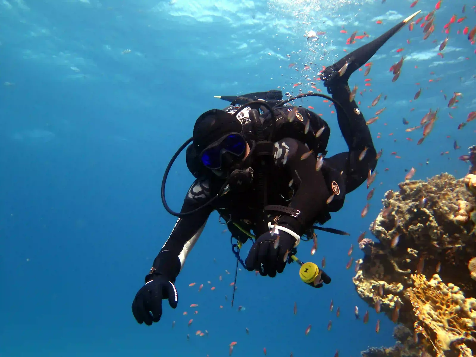 Ras Mohammed diving trip — photo 34