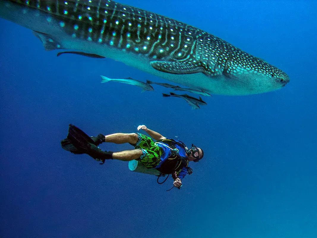 Ras Mohammed diving trip — photo 36