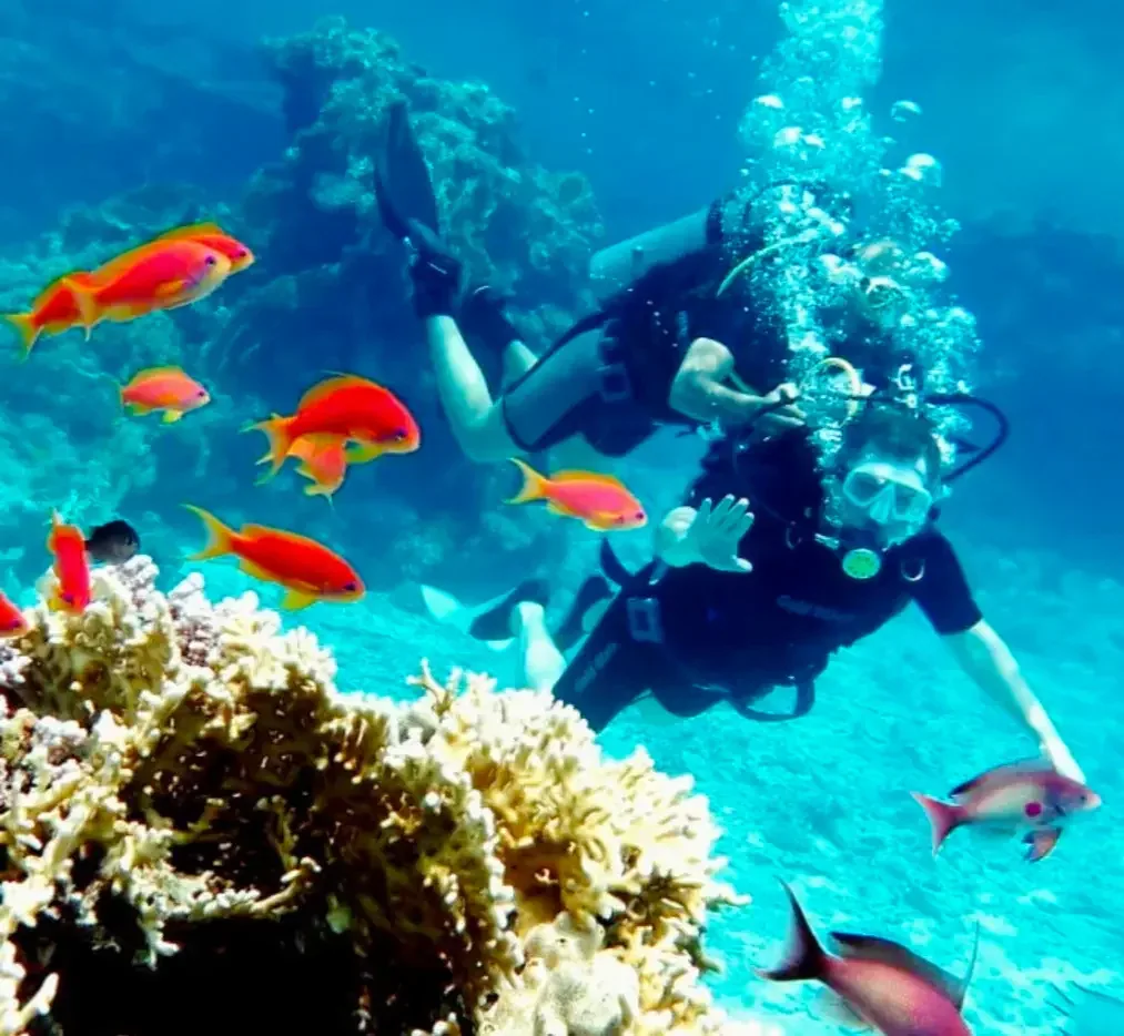 Discover Scuba Diving course at The Wave Diving Center — photo 3