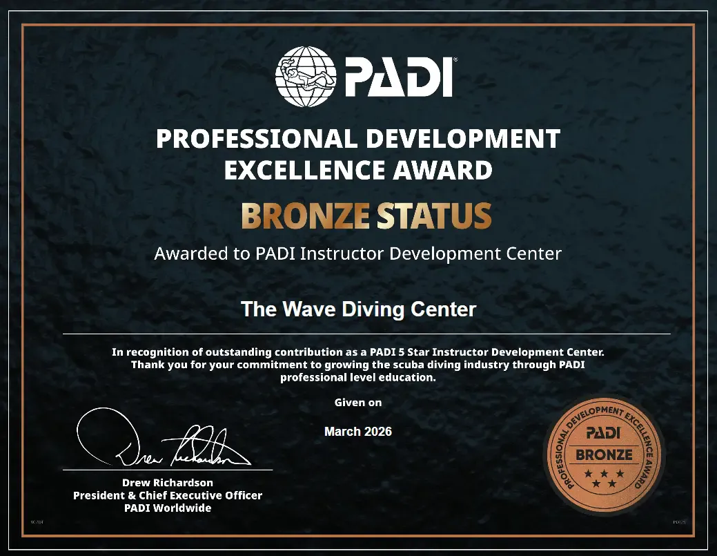 PADI EMEA Bronze Professional Development Excellence Award 2026 certificate awarded to The Wave Diving Center