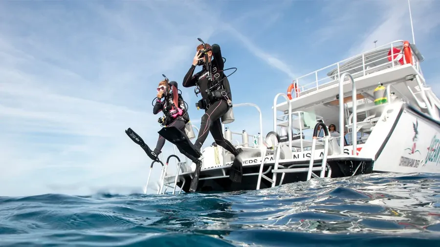 Daily Diving Trips