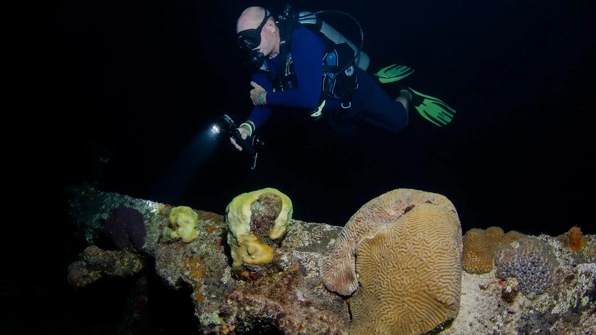 Night Diver course at The Wave Diving Center — photo 2