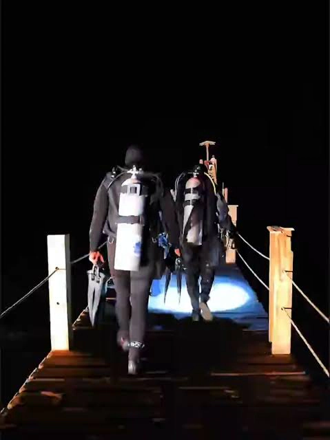 Night Diver course at The Wave Diving Center — photo 4