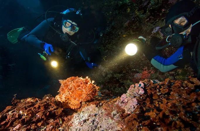 Night Diver course at The Wave Diving Center — photo 6