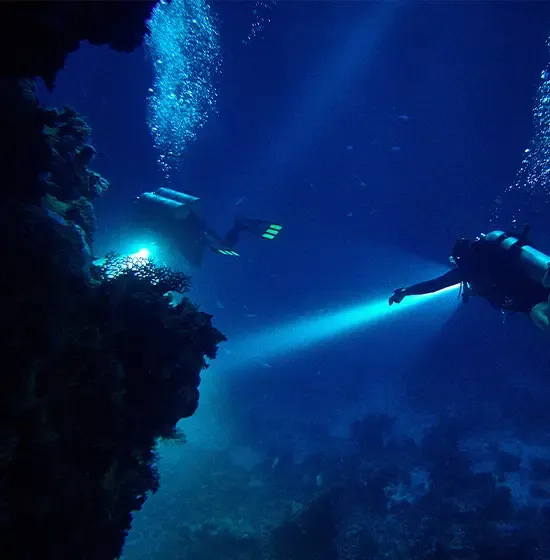 Night Diver course at The Wave Diving Center — photo 7