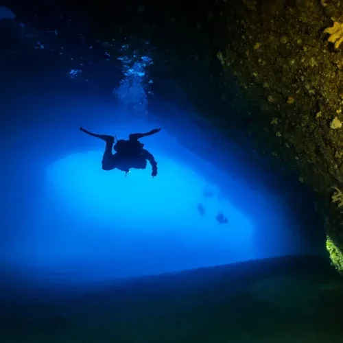 Night dive in Sharm El Sheikh — photo 15