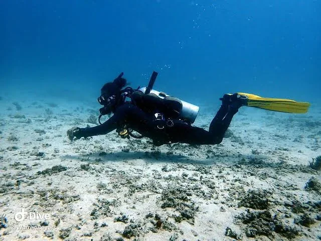 Smiling diver swimming toward the camera with her dive group behind on an Open Water dive