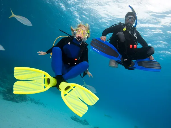 Peak Performance Buoyancy course at The Wave Diving Center — photo 9