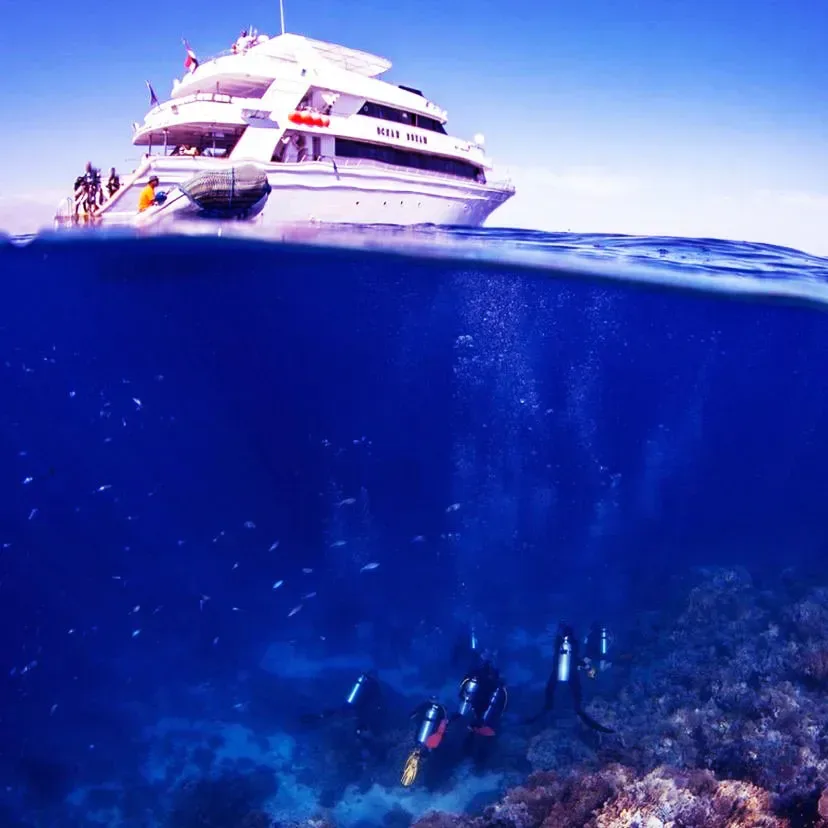 Ras Mohammed Diving by Boat — photo 4