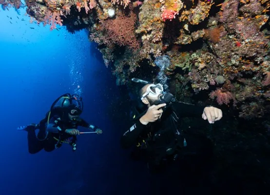 Ras Mohammed Diving by Boat — photo 10