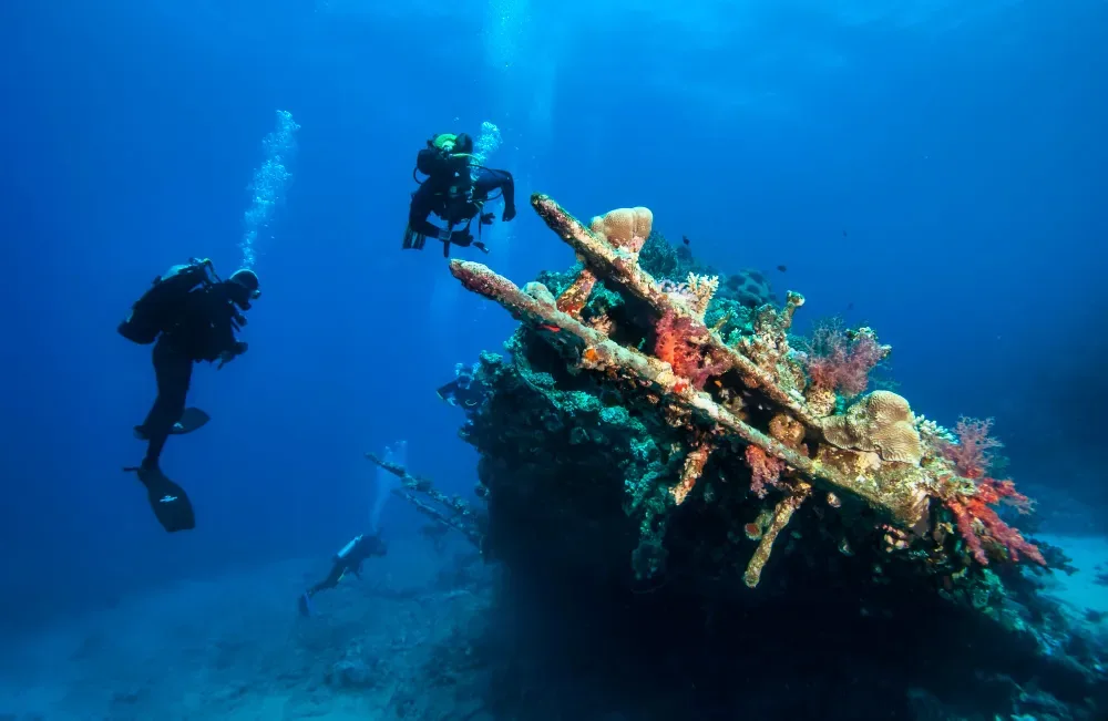Ras Mohammed Diving by Boat — photo 12