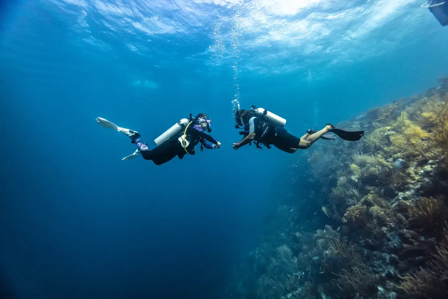 Scuba Refresher course at The Wave Diving Center — photo 3