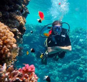 PADI Scuba Diver course at The Wave Diving Center — photo 2