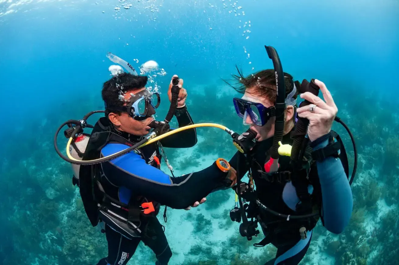 Scuba Diver to Open Water Upgrade