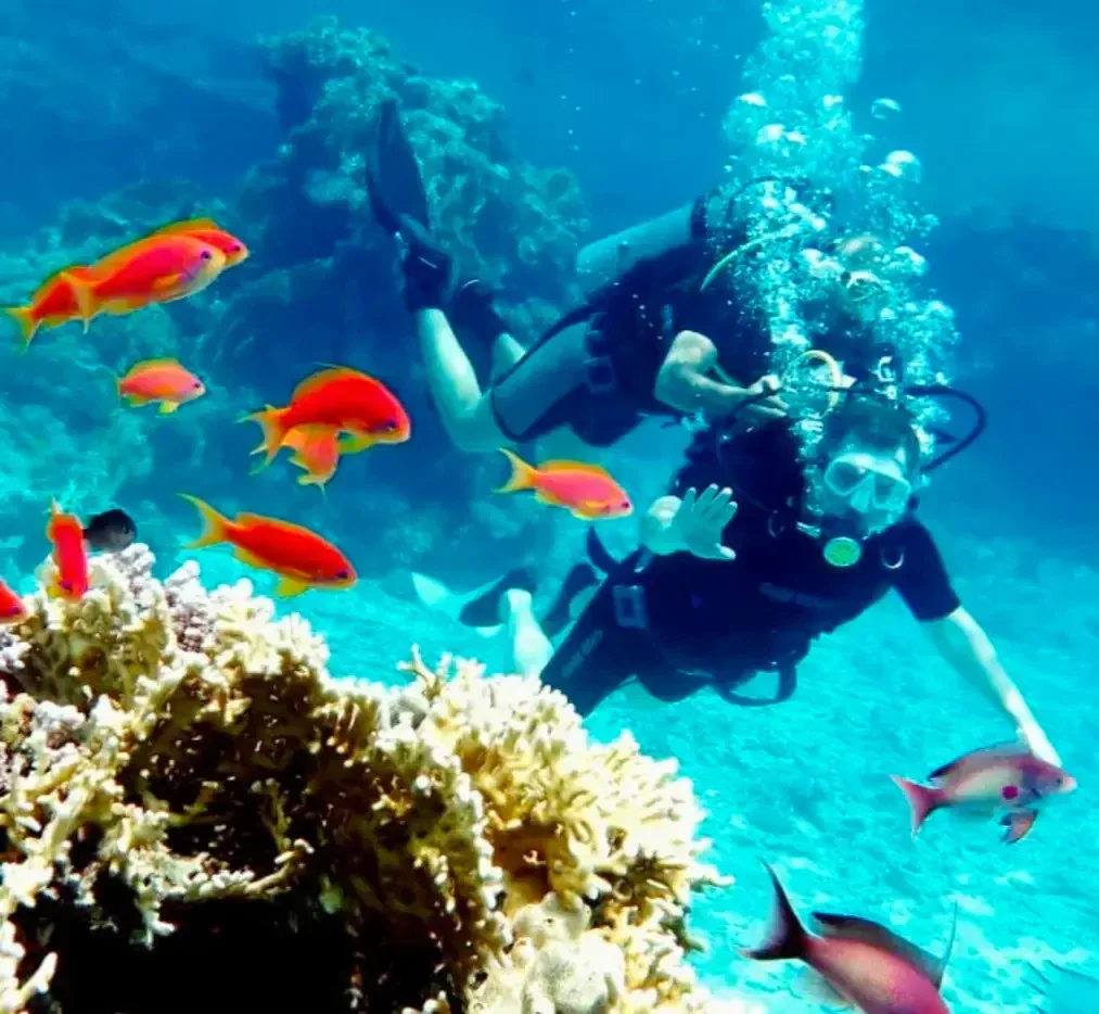 Scuba Diver to Open Water Upgrade course at The Wave Diving Center — photo 7