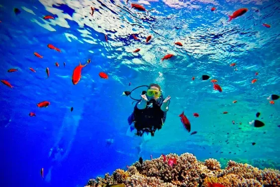 Scuba Diver to Open Water Upgrade course at The Wave Diving Center — photo 9