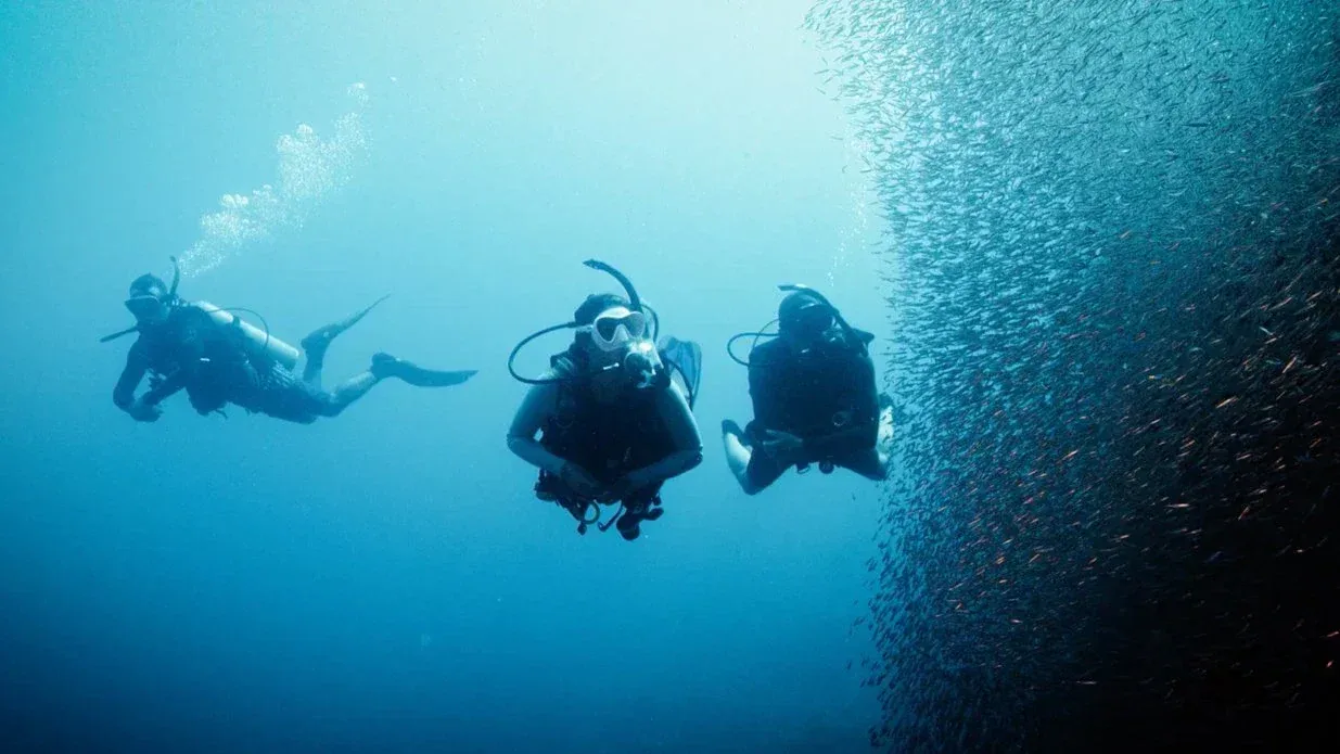 Wreck Diver course at The Wave Diving Center — photo 4