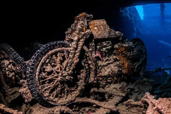 SS Thistlegorm wreck diving — photo 4