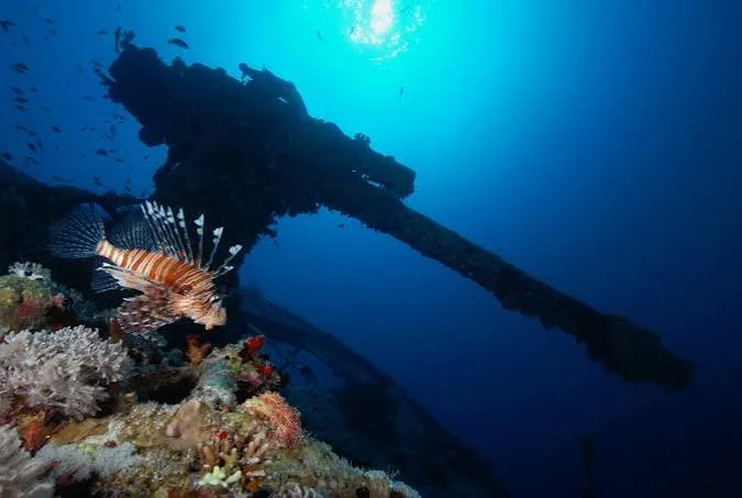 SS Thistlegorm wreck diving — photo 23