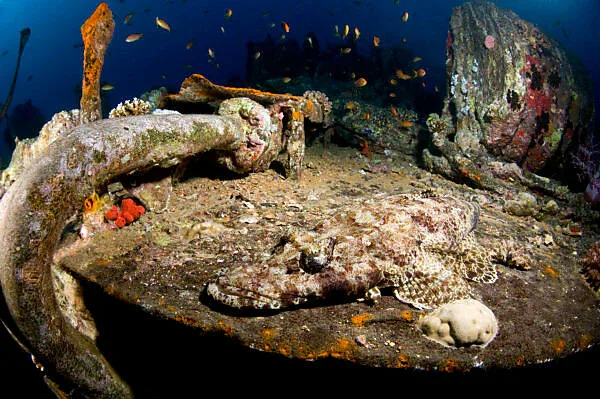 SS Thistlegorm wreck diving — photo 27