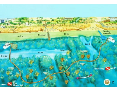 Paradise dive map