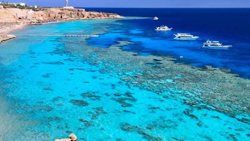Local dive sites off Sharm El Sheikh