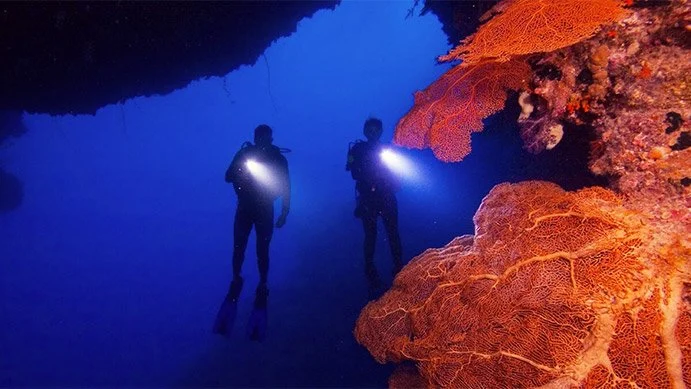 Night Dive