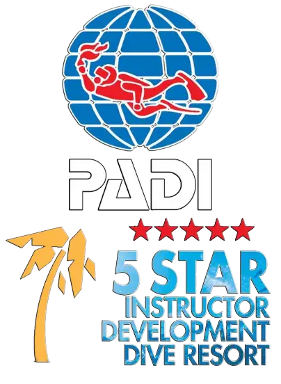 PADI 5 Star Instructor Development Dive Resort certification